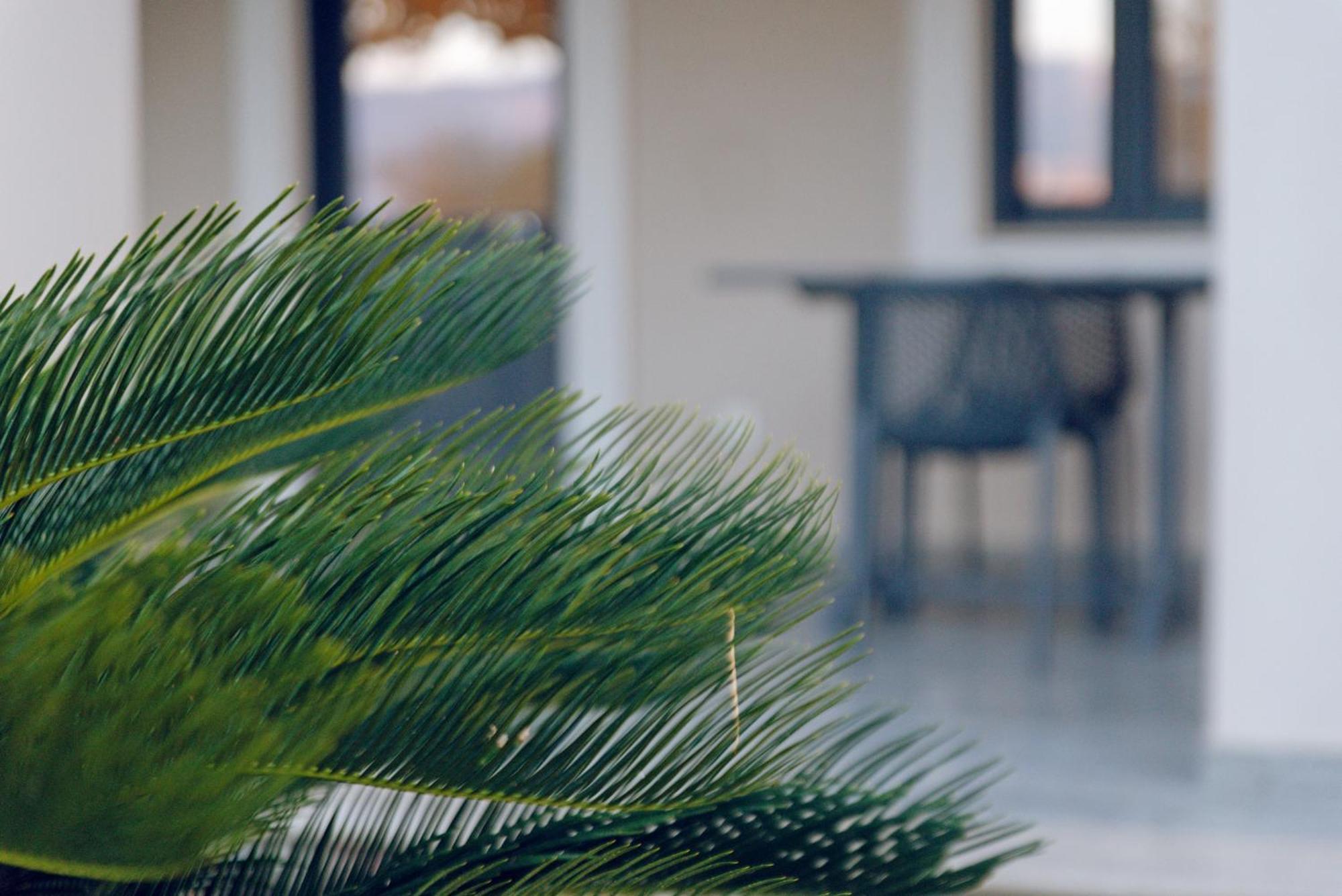 Apartament Carpe Diem Moursia